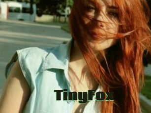 TinyFox