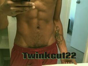 Twinkcut22