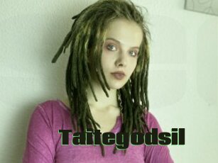 Taitegodsil