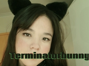 Terminatorbunny