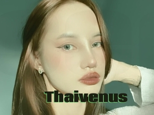 Thaivenus