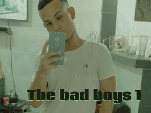 The_bad_boys_1