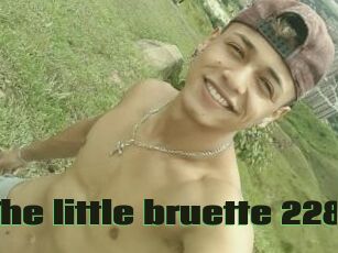 The_little_bruette_228