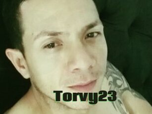 Torvy23