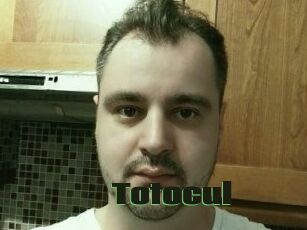 Totocul