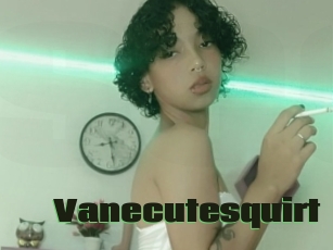 Vanecutesquirt