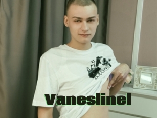 Vaneslinel