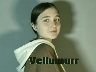 Vellumurr