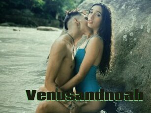 Venusandnoah