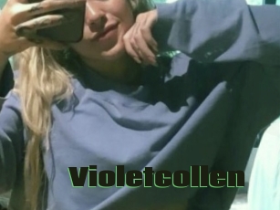 Violetcollen