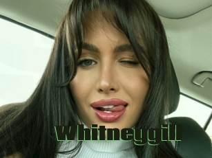 Whitneygill