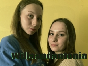 Willaandantonia