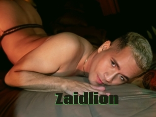 Zaidlion