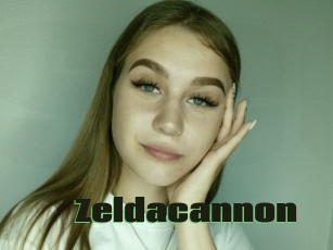 Zeldacannon